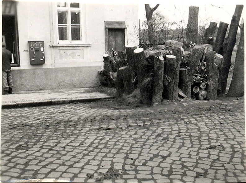 1945-03.jpg